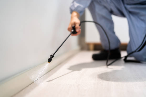 Professional Pest Control in Genoa City, WI