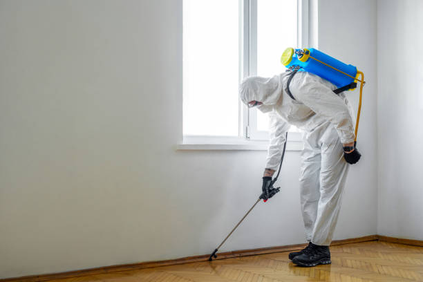 Best Local Pest Control Services  in Genoa City, WI