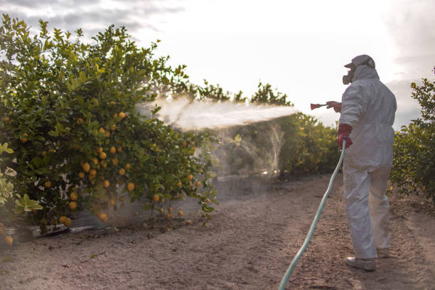 Best Ant Control Services  in Genoa City, WI